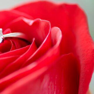 découvrez l'essence de l'amour à travers des histoires touchantes, des conseils relationnels et des réflexions inspirantes. plongez dans un univers où les émotions prennent vie et où chaque moment partagé compte.
